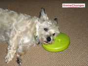 gamechanger-dog-toy-and-behavioral-tool4-globaldogcompany