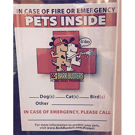 Pets-Inside-Safety-Decals-Global-dog-company