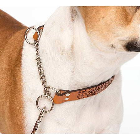 bark-busters-leather-communication-training-collar-global-dog-company 