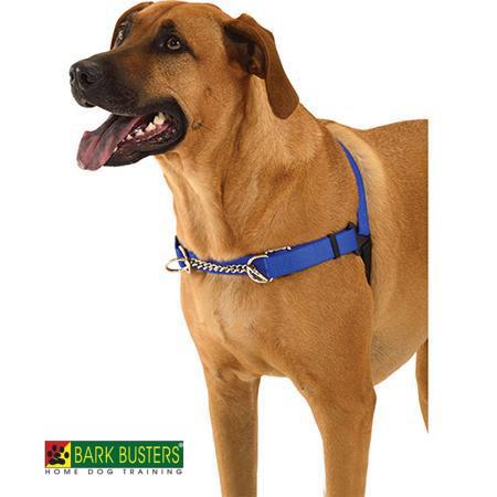 Training Harness Global Dog Company globaldogcompany