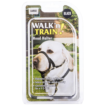 Walk'n Train Head Halter Black Global Dog Company